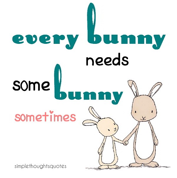 simple thoughts every bunny needs quote