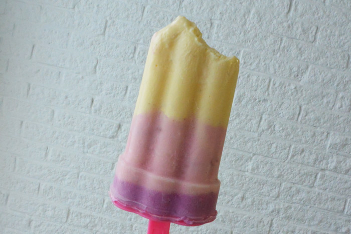simple-thoughts-zelfgemaakte-kwark-danone-ijsjes