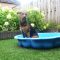 Simpel hondenzwembad