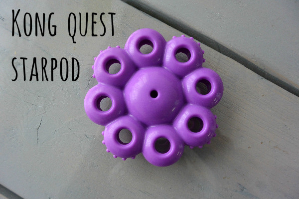 simple thoughts kong quest starpod review getest